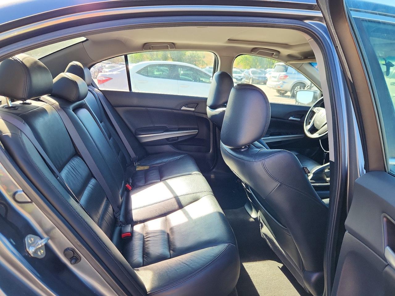 2010 Honda Accord Exl Gray vin: 1HGCP2F8XAA011649