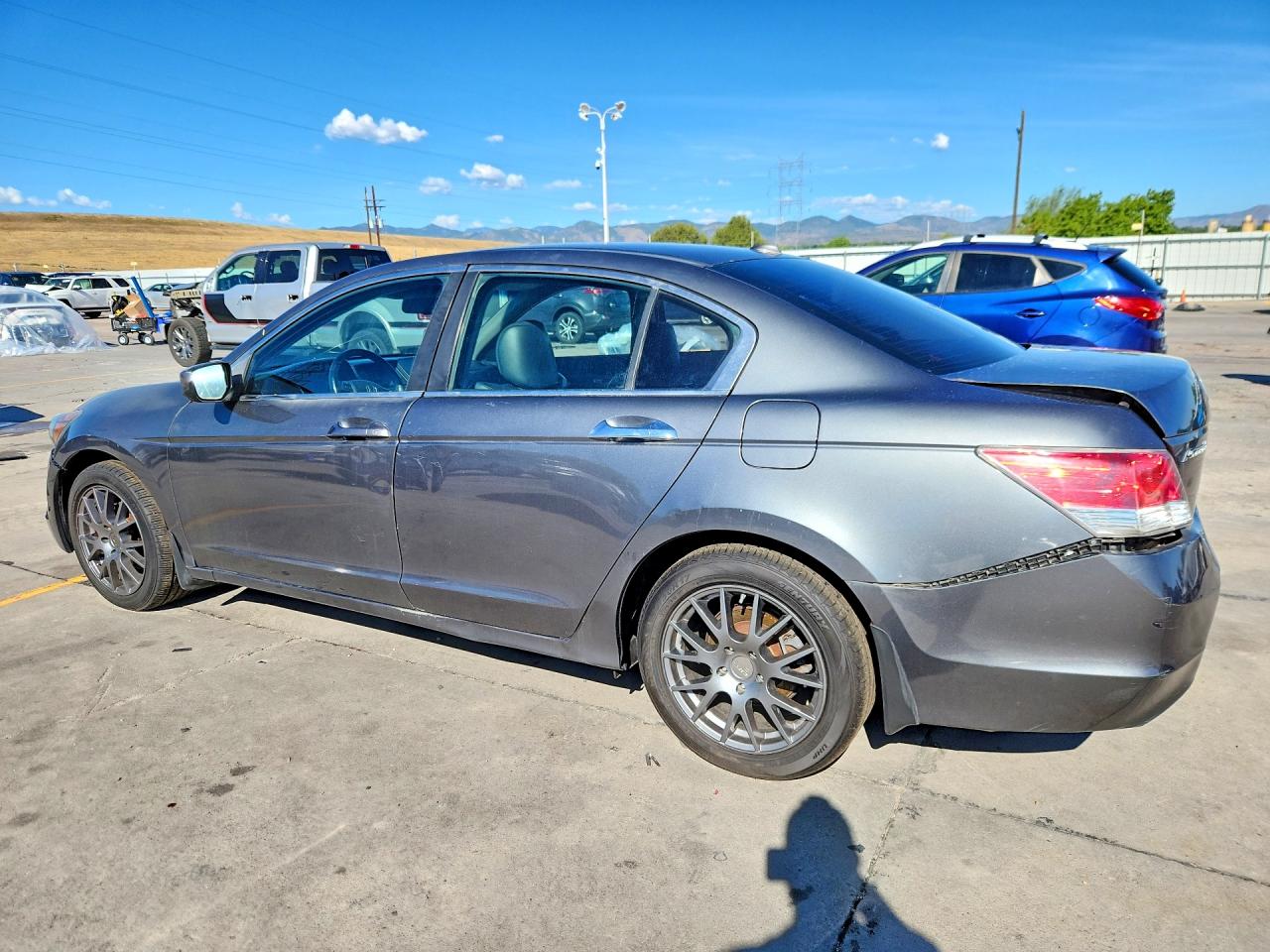 2010 Honda Accord Exl Gray vin: 1HGCP2F8XAA011649