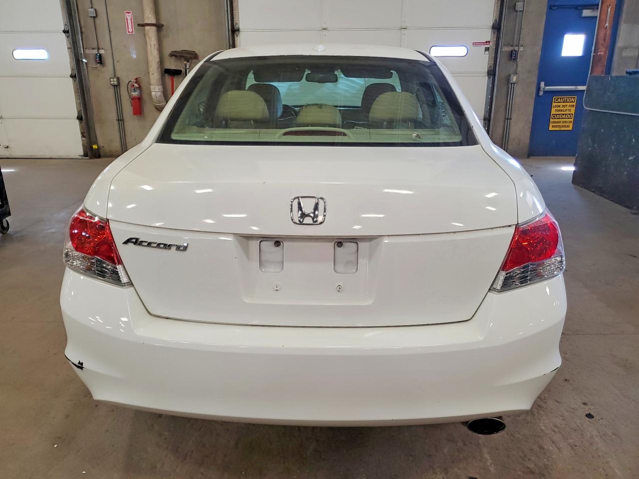 2010 Honda Accord Exl White vin: 1HGCP2F8XAA020092