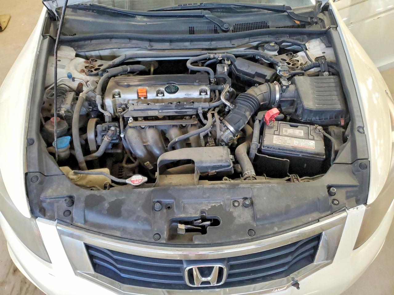 2010 Honda Accord Exl White vin: 1HGCP2F8XAA020092