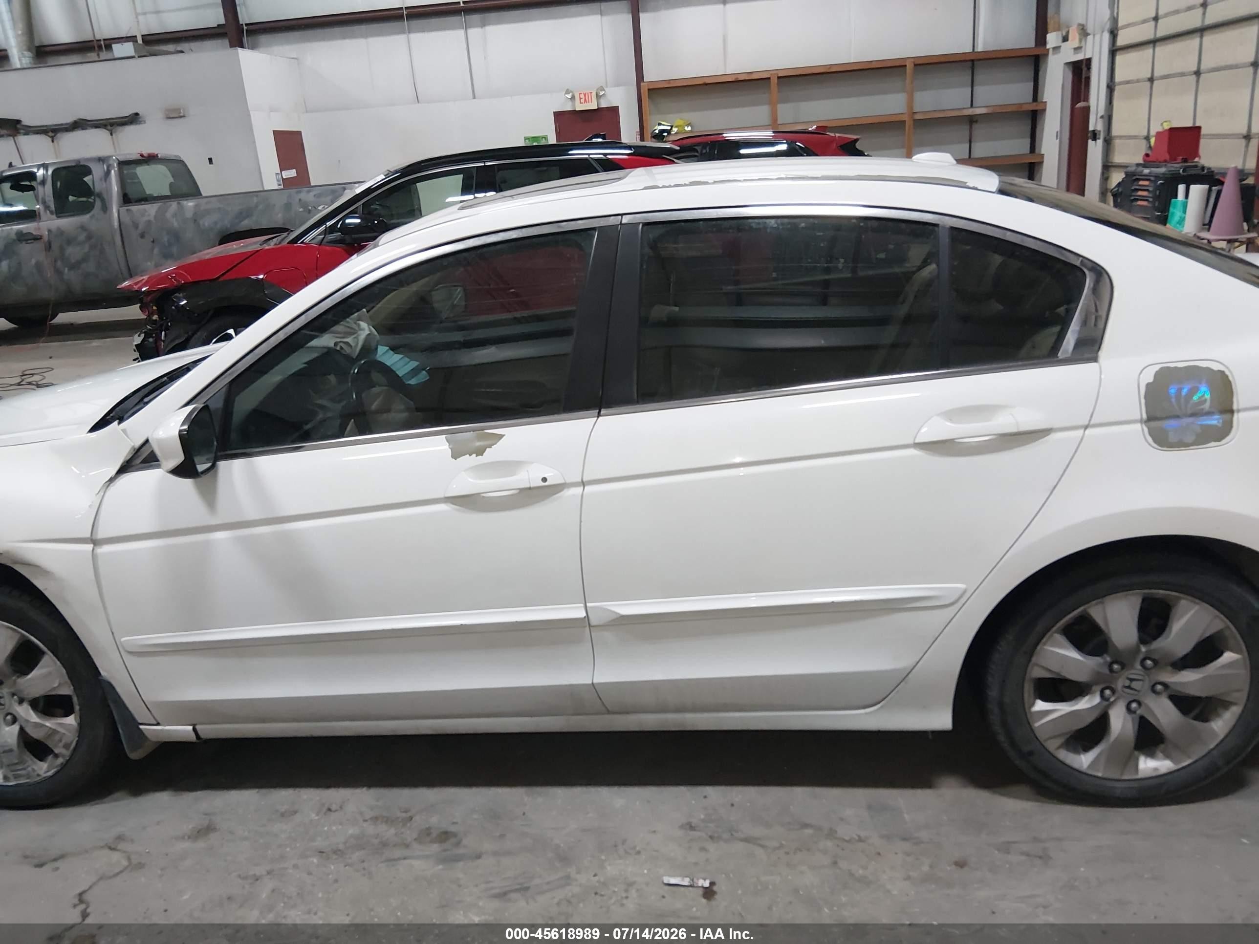 2010 Honda Accord 2.4 Ex-l White vin: 1HGCP2F8XAA125389