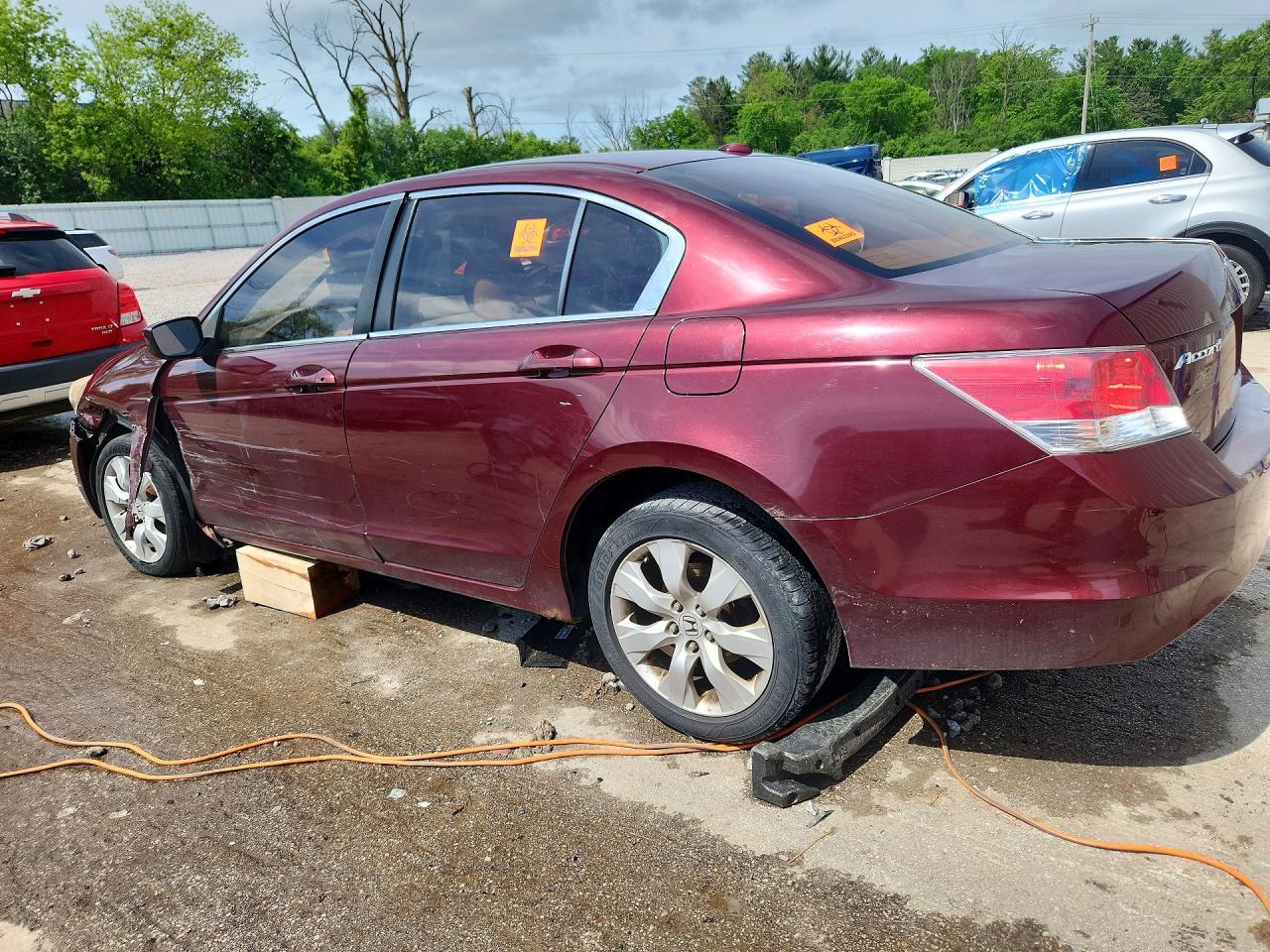 2010 Honda Accord Exl Burgundy vin: 1HGCP2F8XAA136019