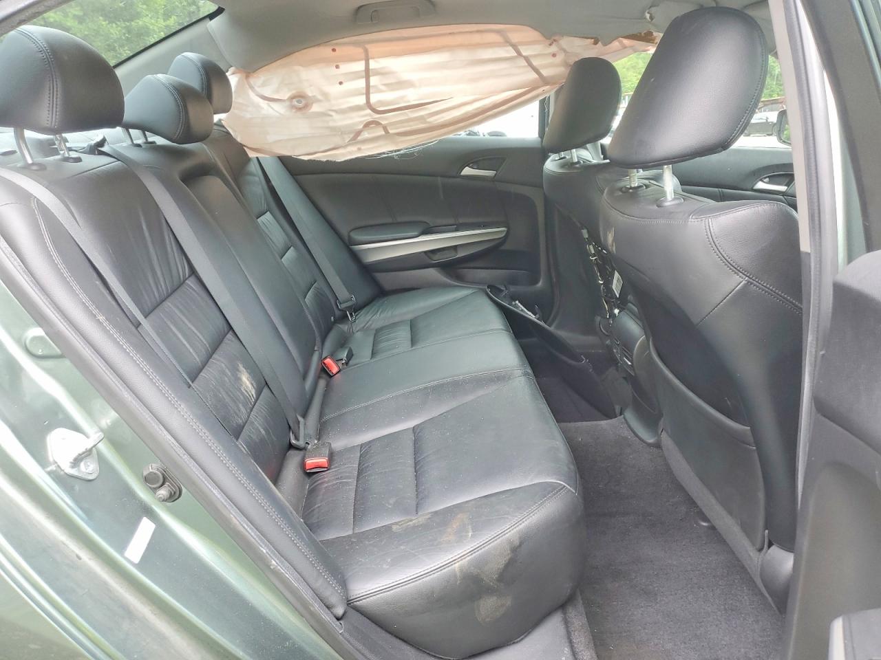 2010 Honda Accord Exl Green vin: 1HGCP2F8XAA163155