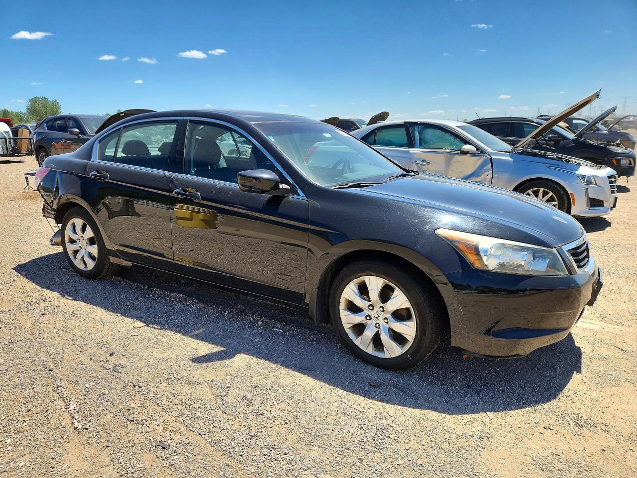 2010 Honda Accord Exl Black vin: 1HGCP2F8XAA170459