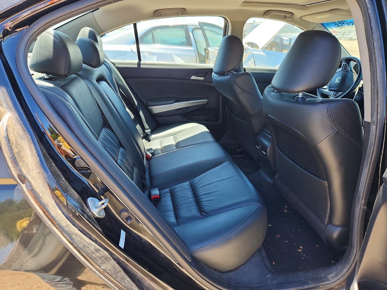 2010 Honda Accord Exl Black vin: 1HGCP2F8XAA170459
