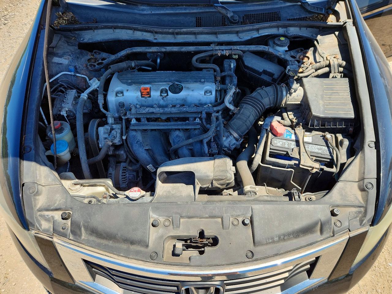 2010 Honda Accord Exl Black vin: 1HGCP2F8XAA170459