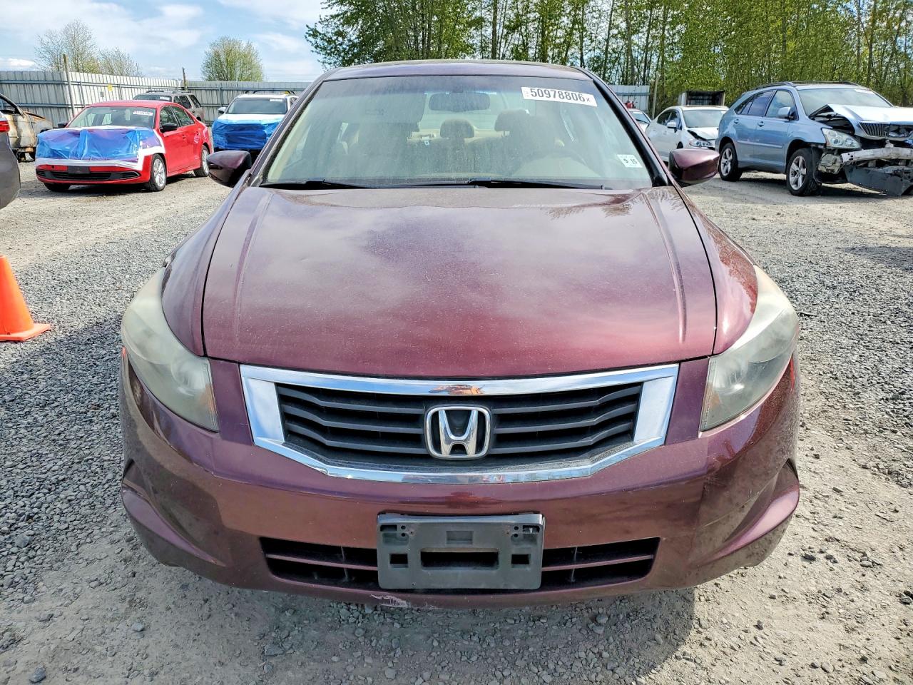 2010 Honda Accord Exl Темно-бордовый vin: 1HGCP2F8XAA175693