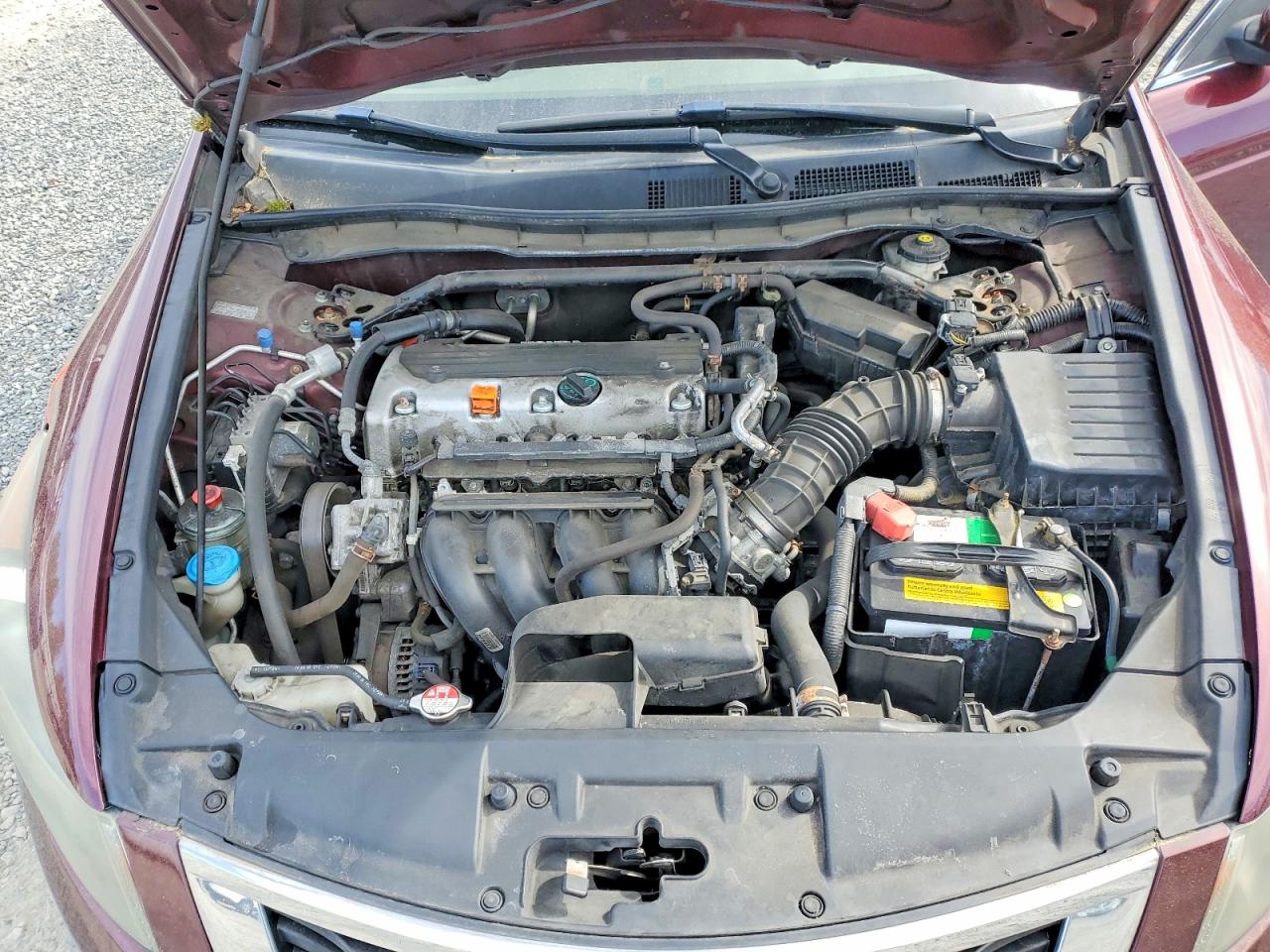 2010 Honda Accord Exl Темно-бордовый vin: 1HGCP2F8XAA175693