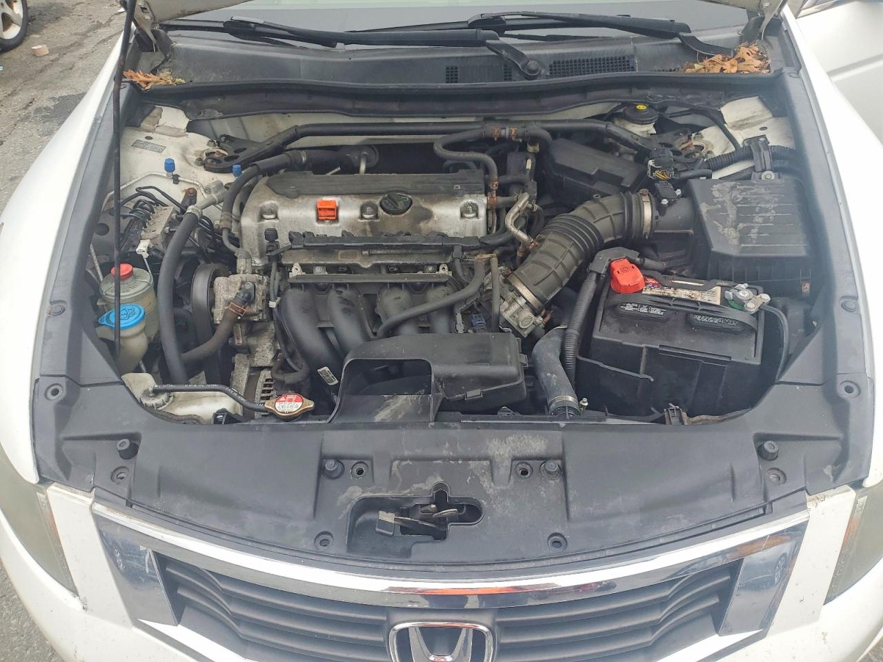 2010 Honda Accord Exl White vin: 1HGCP2F8XAA190047