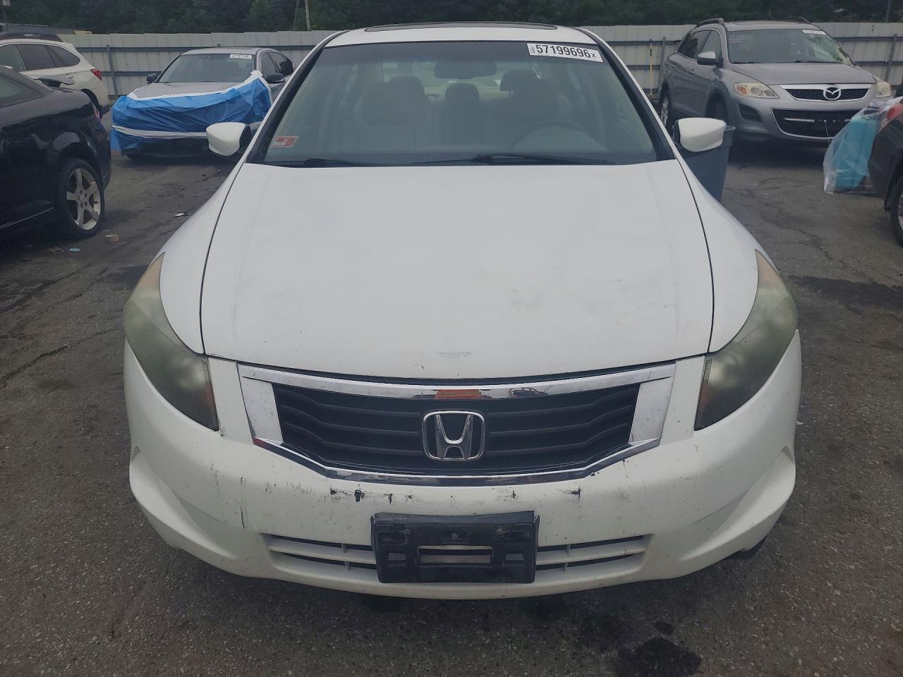 2010 Honda Accord Exl White vin: 1HGCP2F8XAA190047