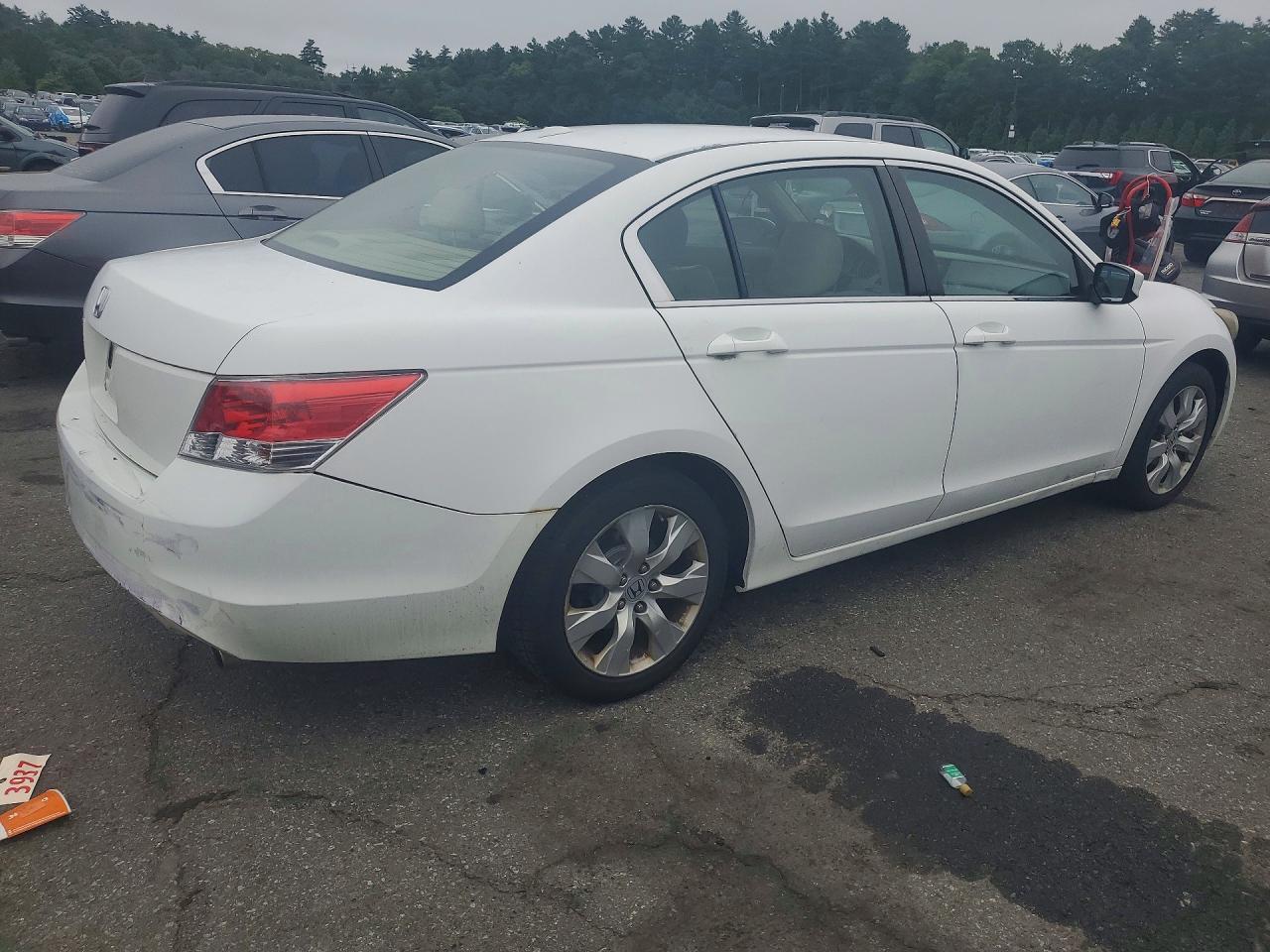 2010 Honda Accord Exl White vin: 1HGCP2F8XAA190047