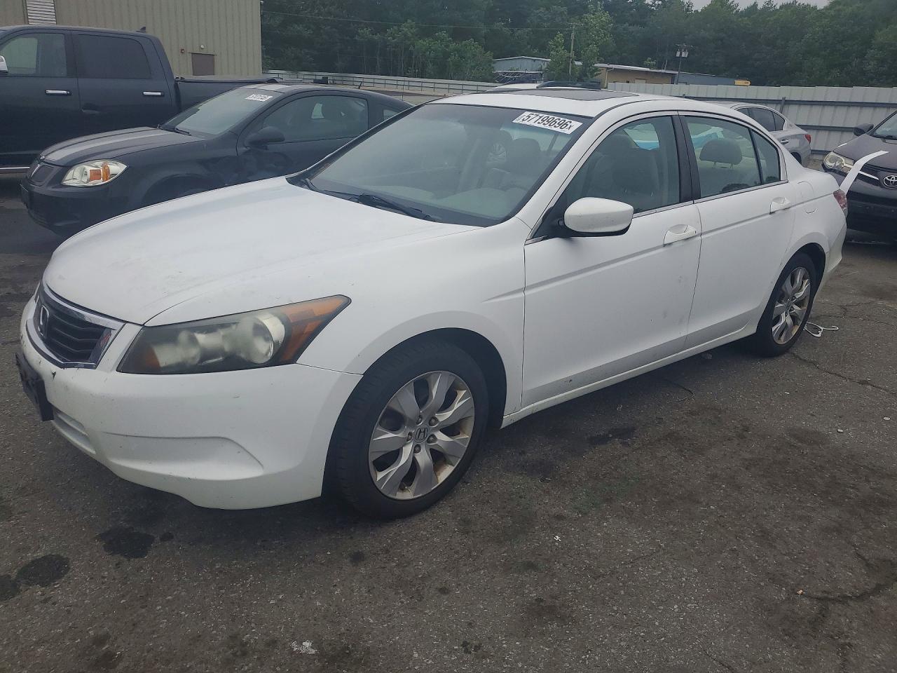 2010 Honda Accord Exl White vin: 1HGCP2F8XAA190047
