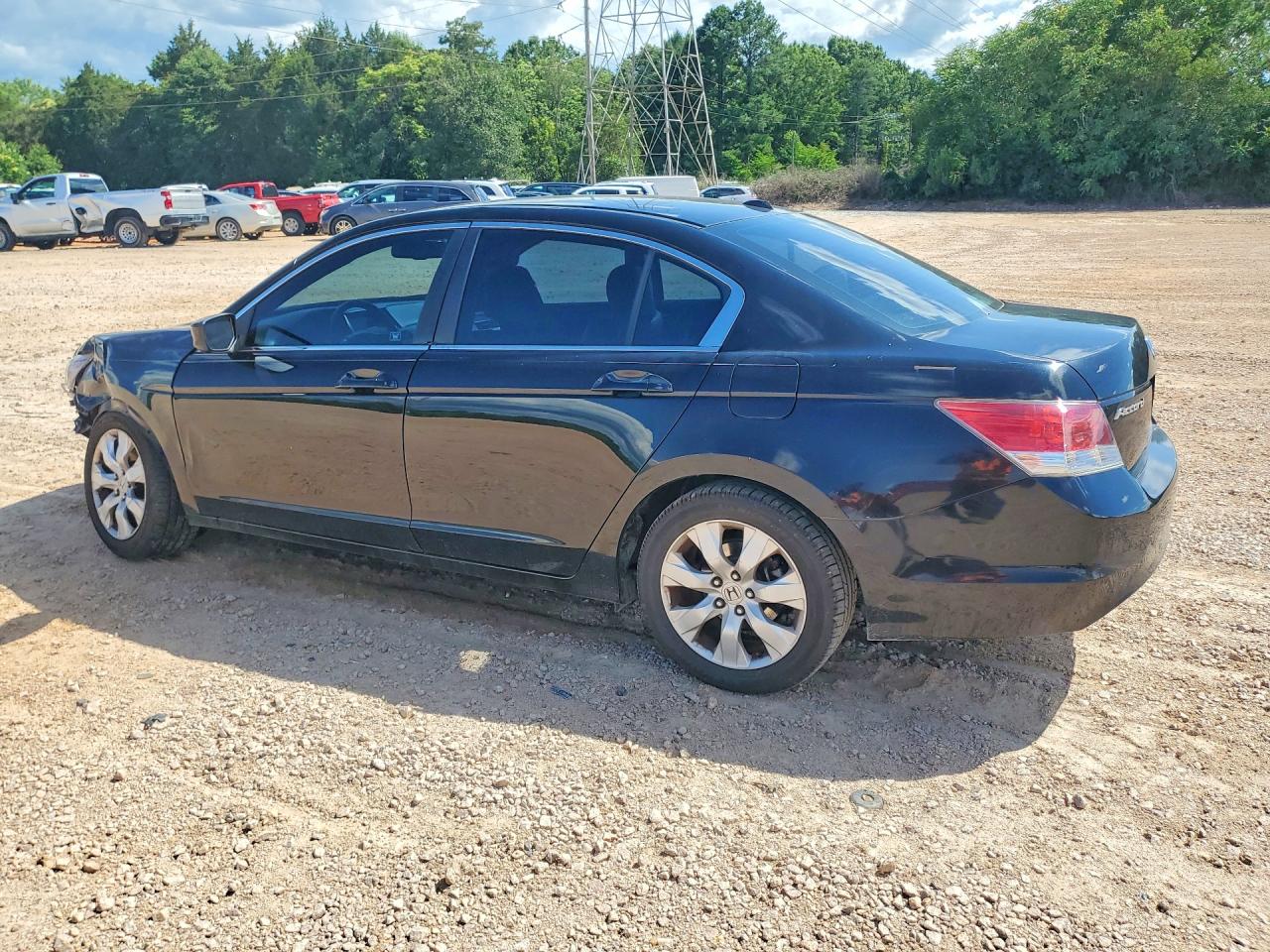 2010 Honda Accord Exl Black vin: 1HGCP2F8XAA192736