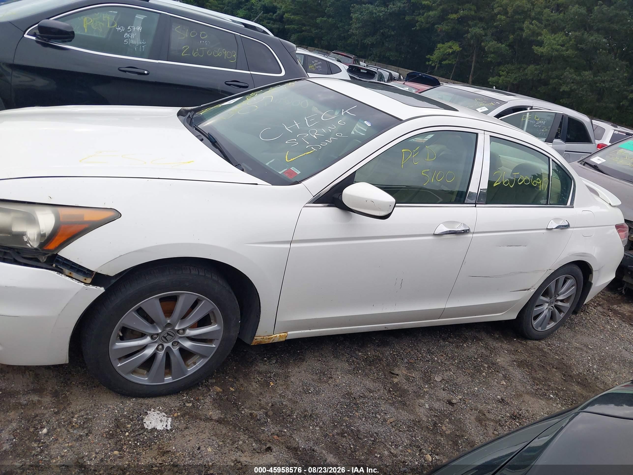 2011 Honda Accord 2.4 Ex-l White vin: 1HGCP2F8XBA009465