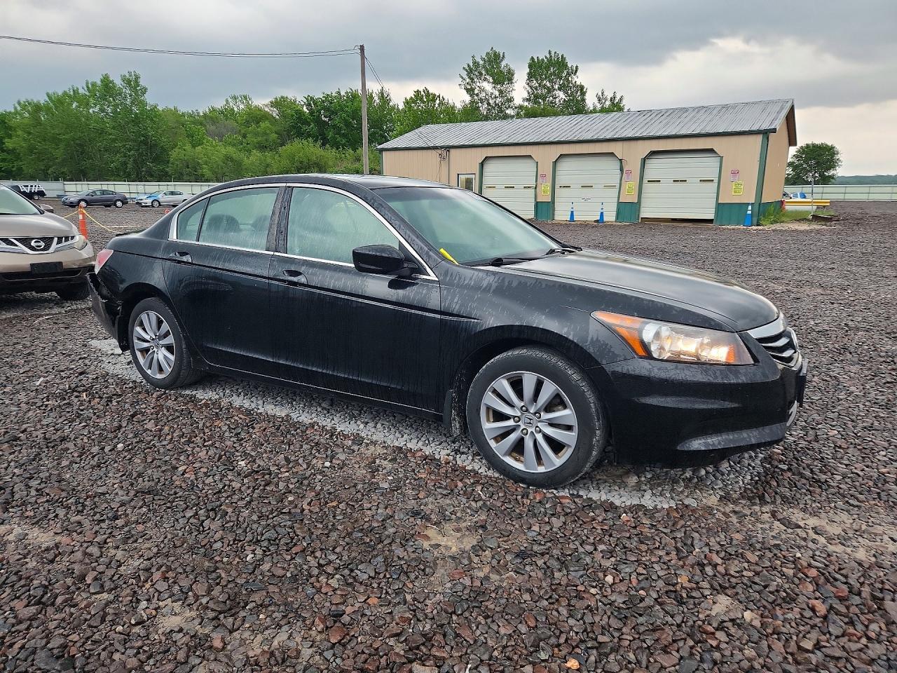 2011 Honda Accord Exl Black vin: 1HGCP2F8XBA010485