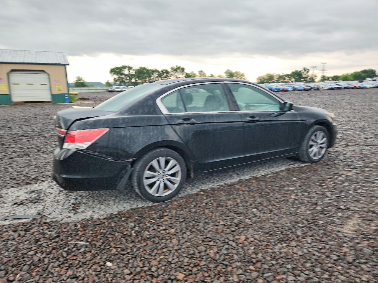 2011 Honda Accord Exl Black vin: 1HGCP2F8XBA010485