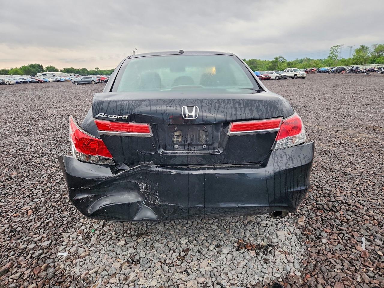 2011 Honda Accord Exl Black vin: 1HGCP2F8XBA010485