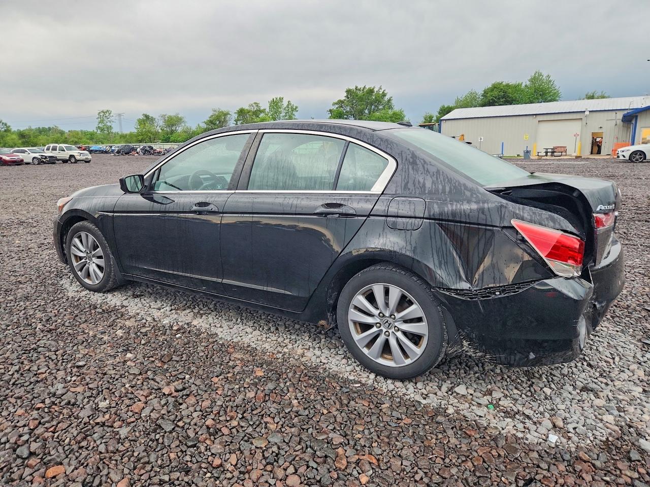 2011 Honda Accord Exl Black vin: 1HGCP2F8XBA010485