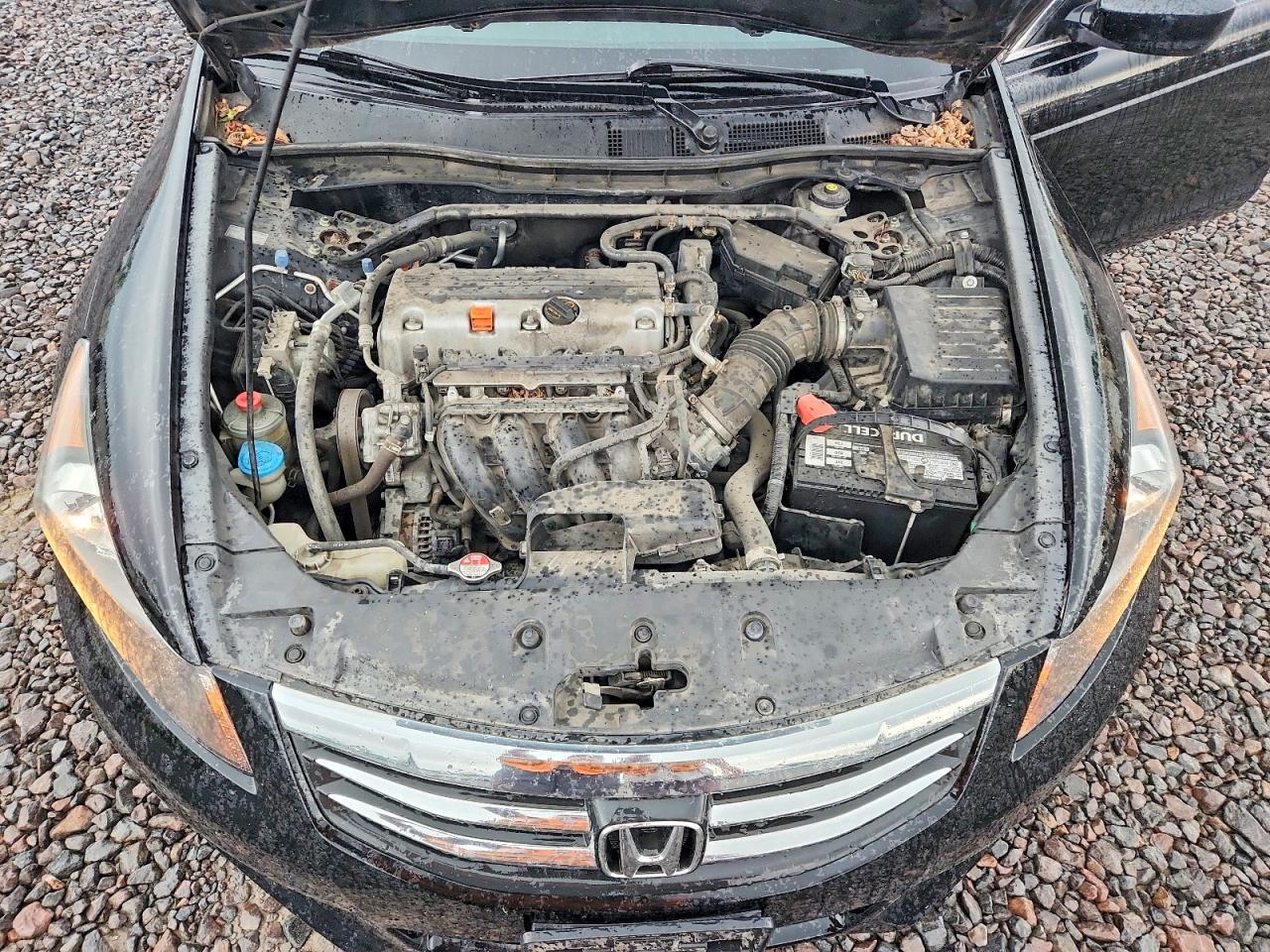 2011 Honda Accord Exl Black vin: 1HGCP2F8XBA010485