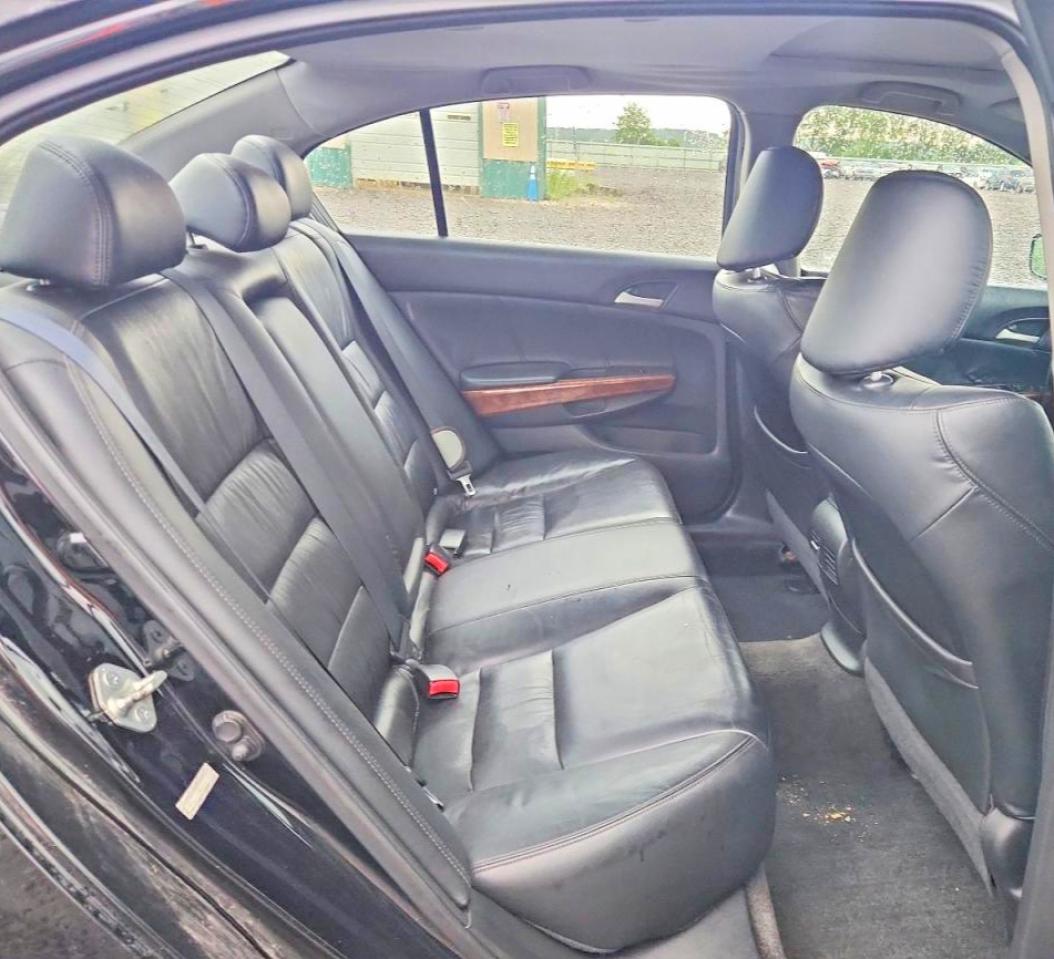 2011 Honda Accord Exl Black vin: 1HGCP2F8XBA010485