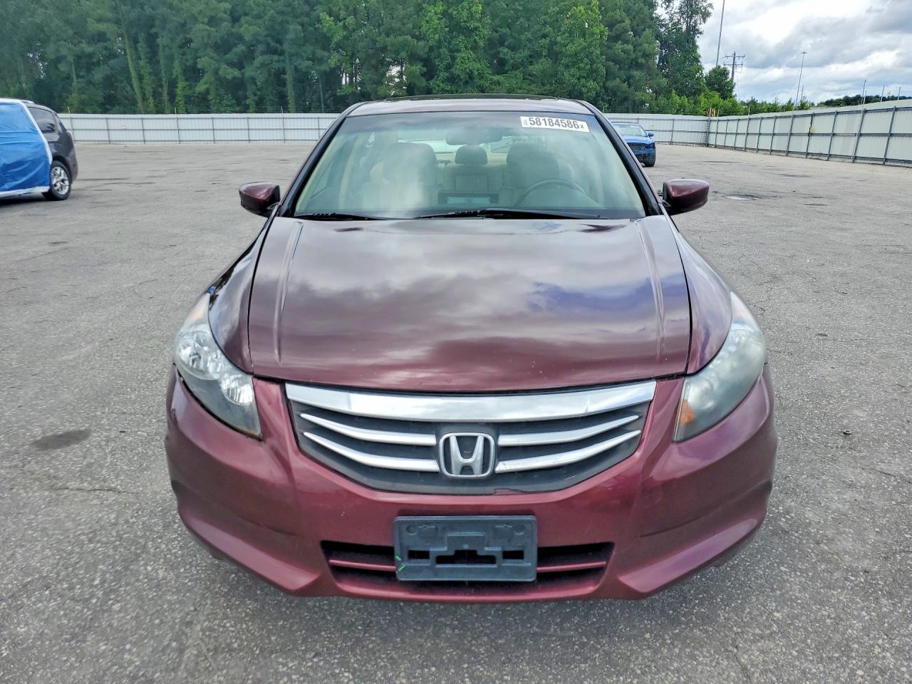 2011 Honda Accord Exl Burgundy vin: 1HGCP2F8XBA013726