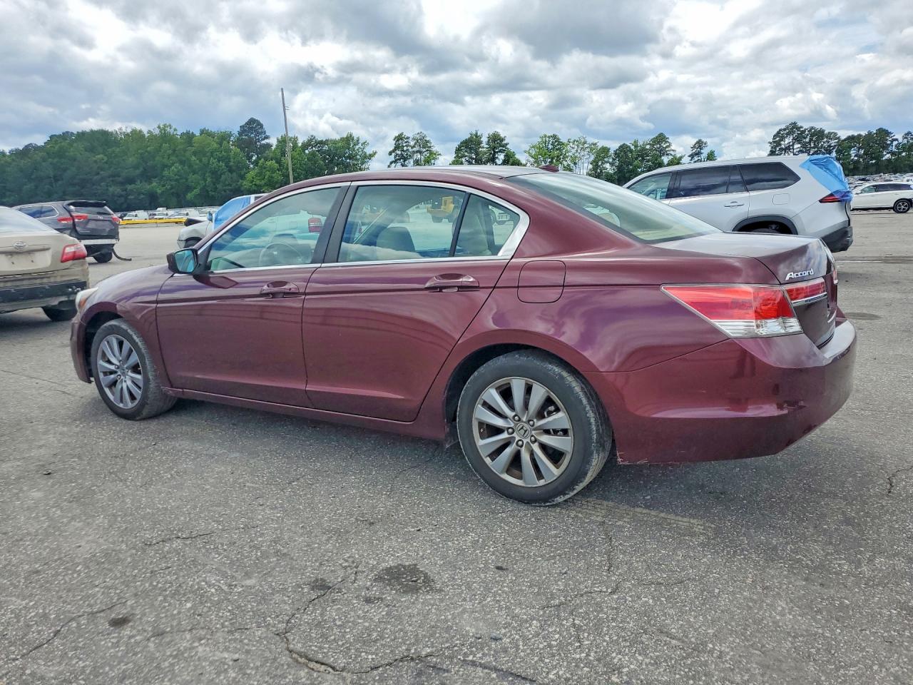 2011 Honda Accord Exl Burgundy vin: 1HGCP2F8XBA013726