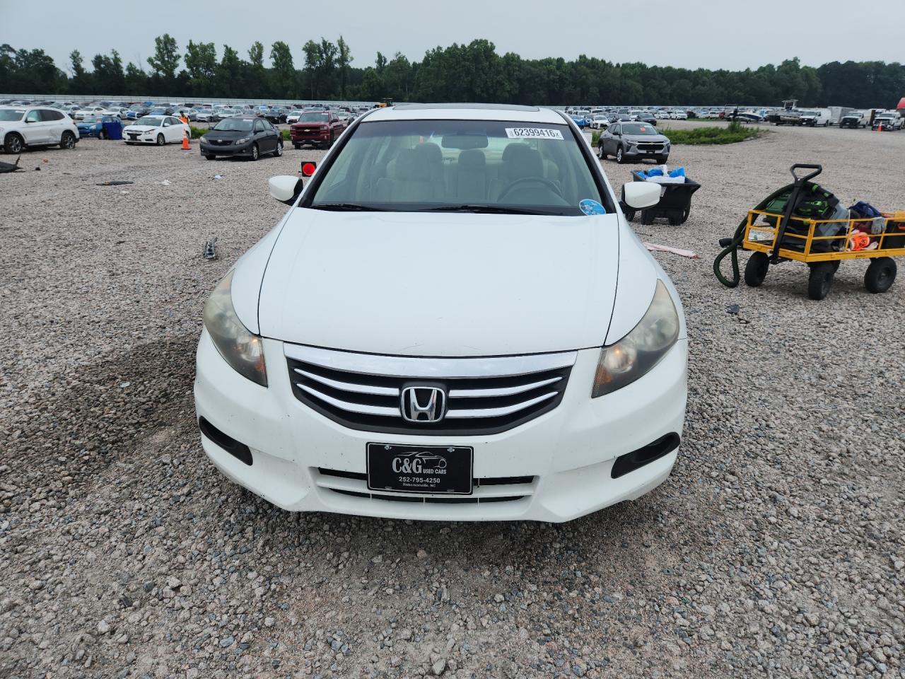 2011 Honda Accord Exl White vin: 1HGCP2F8XBA039159