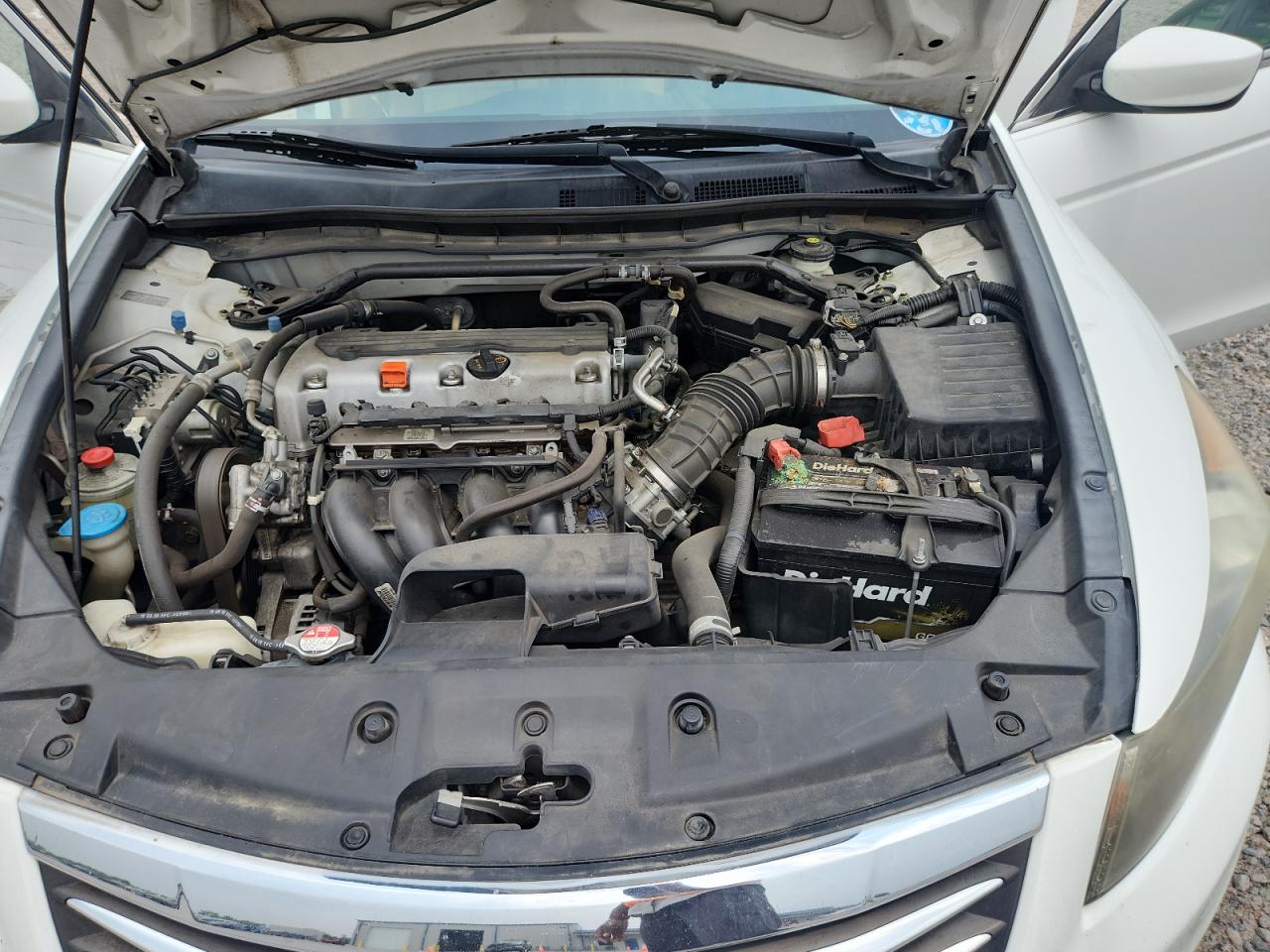 2011 Honda Accord Exl White vin: 1HGCP2F8XBA039159