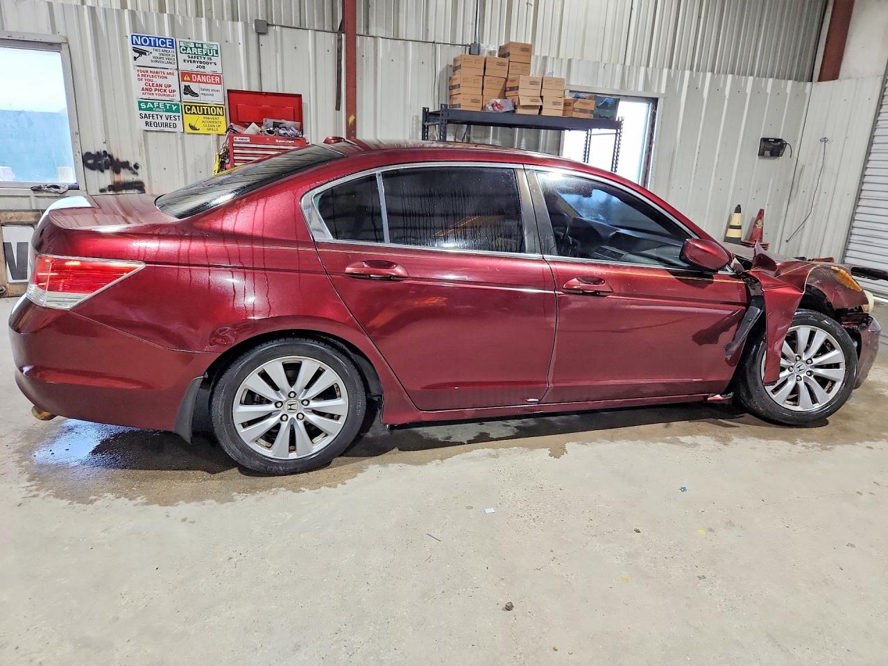 2011 Honda Accord Exl Burgundy vin: 1HGCP2F8XBA068094