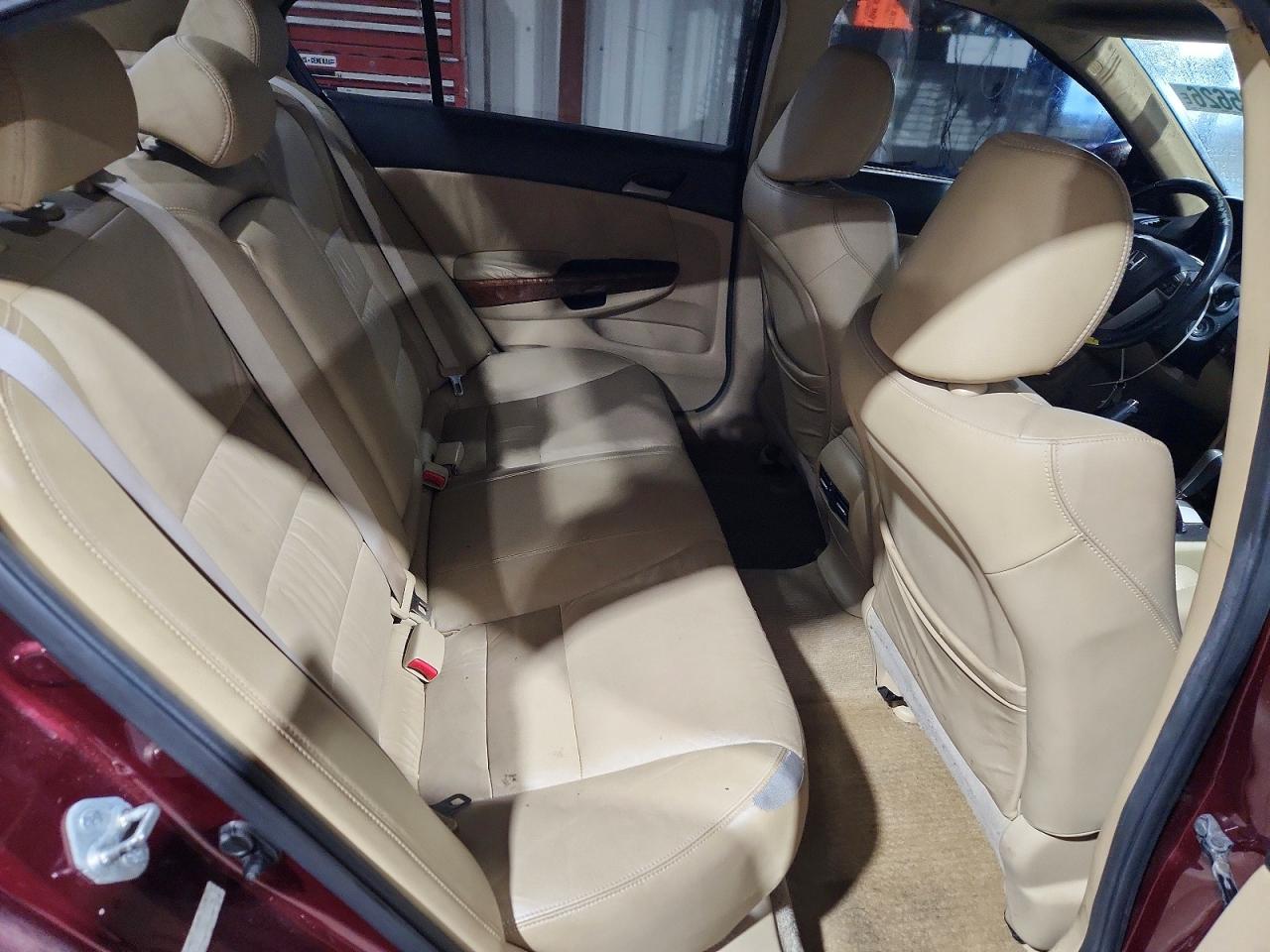 2011 Honda Accord Exl Burgundy vin: 1HGCP2F8XBA068094