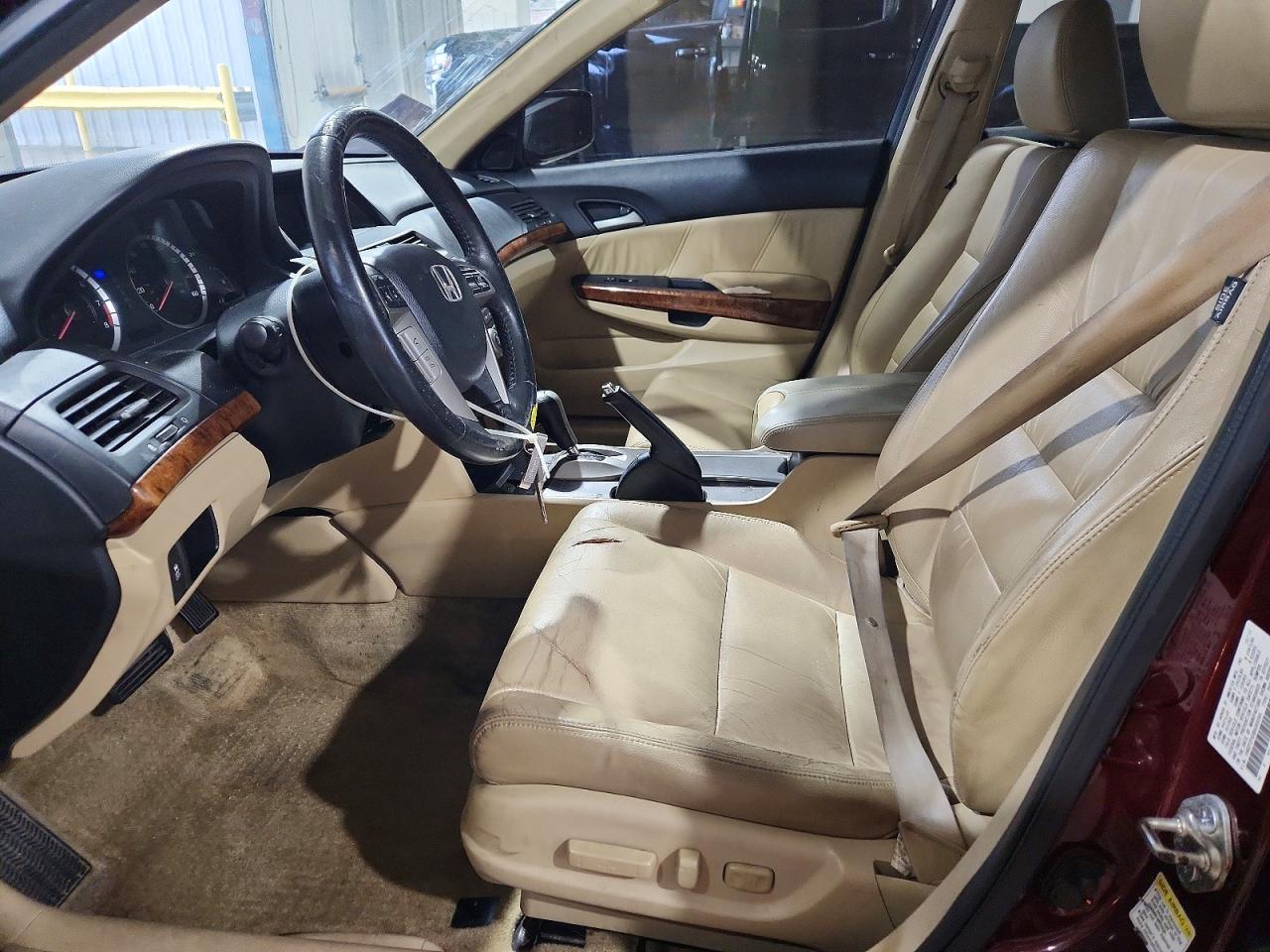 2011 Honda Accord Exl Burgundy vin: 1HGCP2F8XBA068094