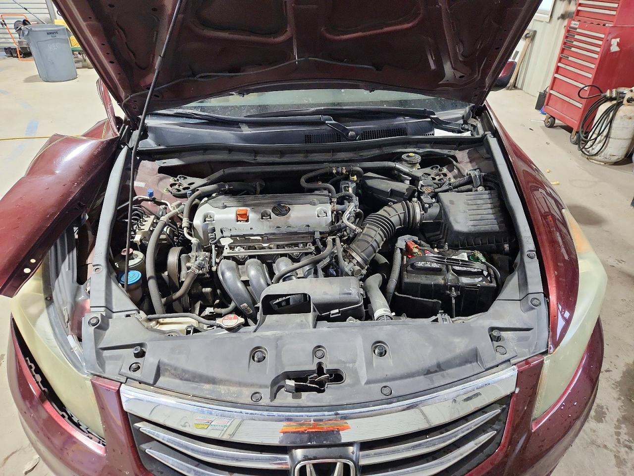 2011 Honda Accord Exl Burgundy vin: 1HGCP2F8XBA068094