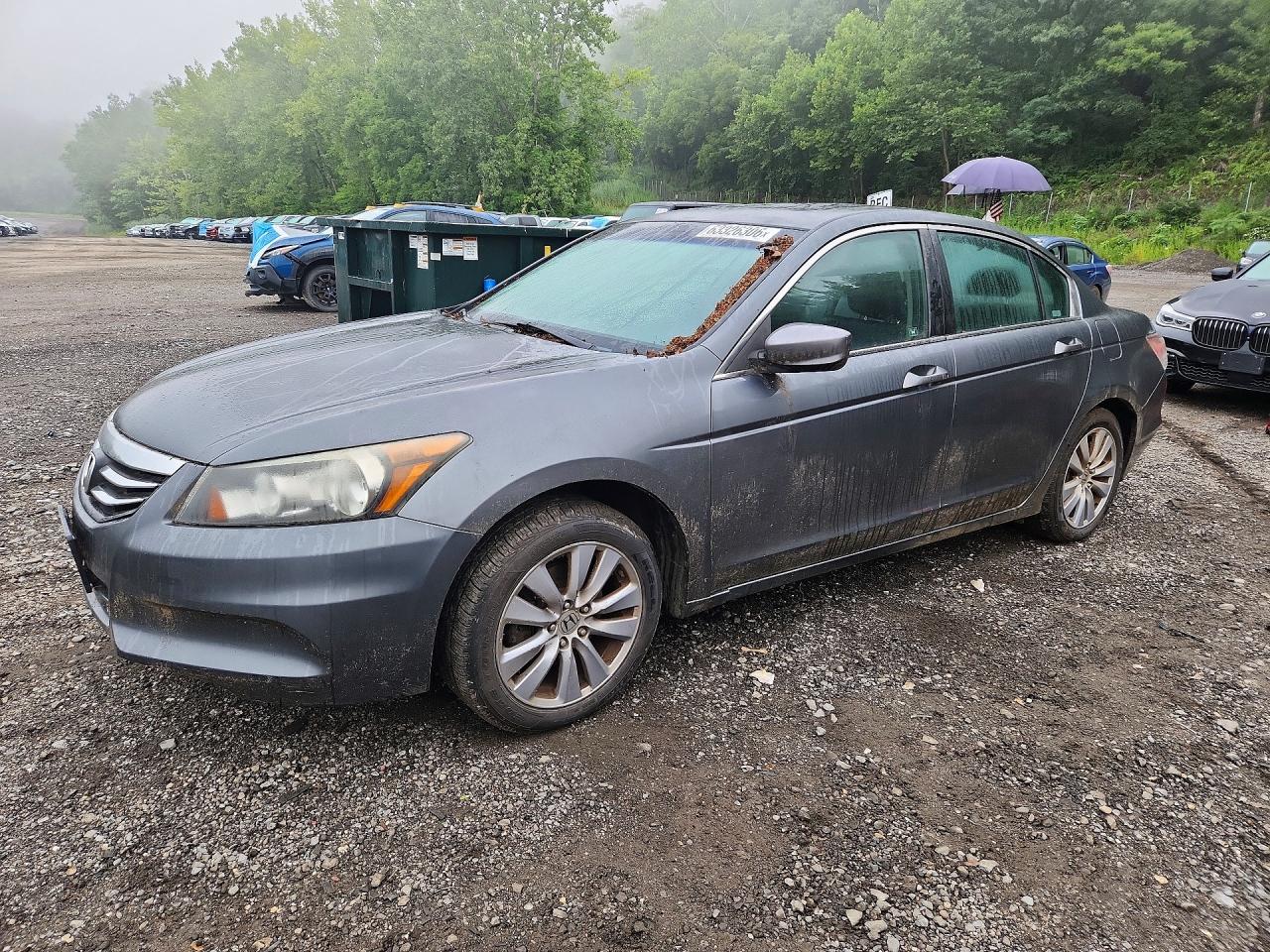 2011 Honda Accord Exl Серый vin: 1HGCP2F8XBA076518