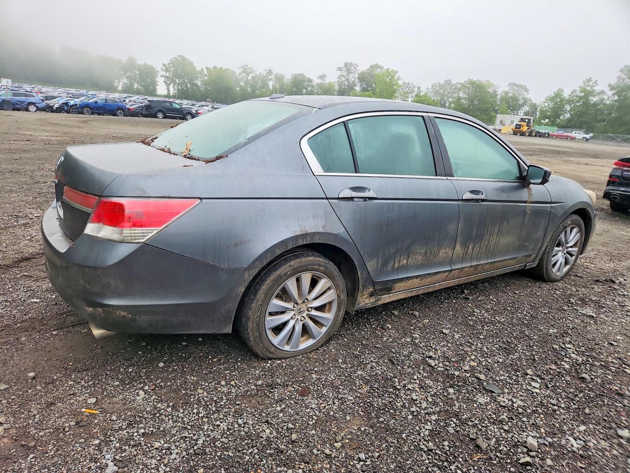 2011 Honda Accord Exl Gray vin: 1HGCP2F8XBA076518