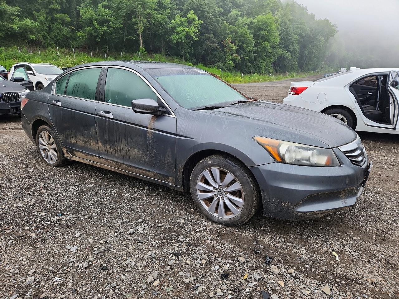 2011 Honda Accord Exl Gray vin: 1HGCP2F8XBA076518