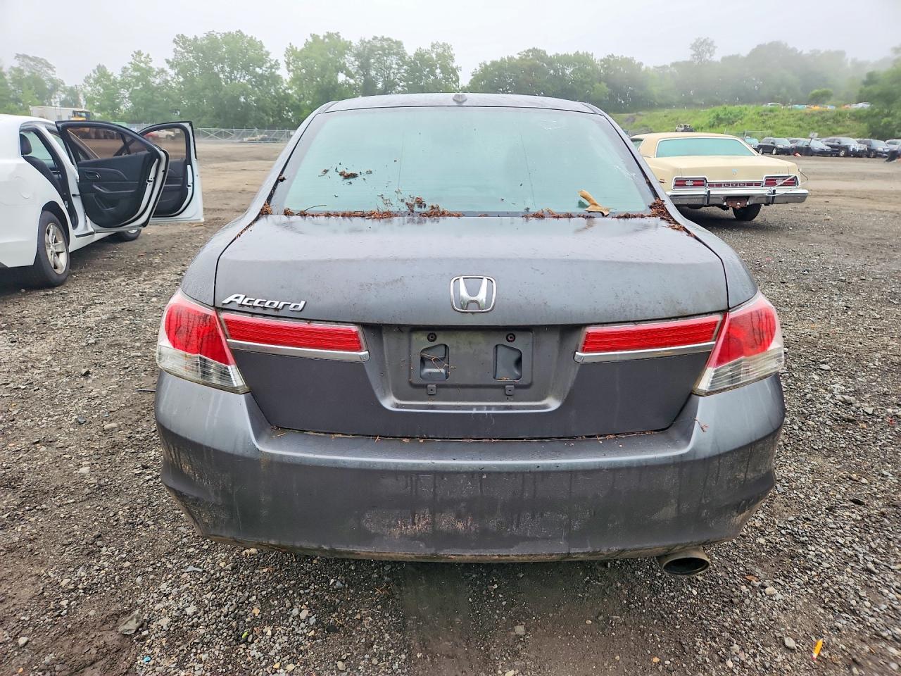 2011 Honda Accord Exl Gray vin: 1HGCP2F8XBA076518