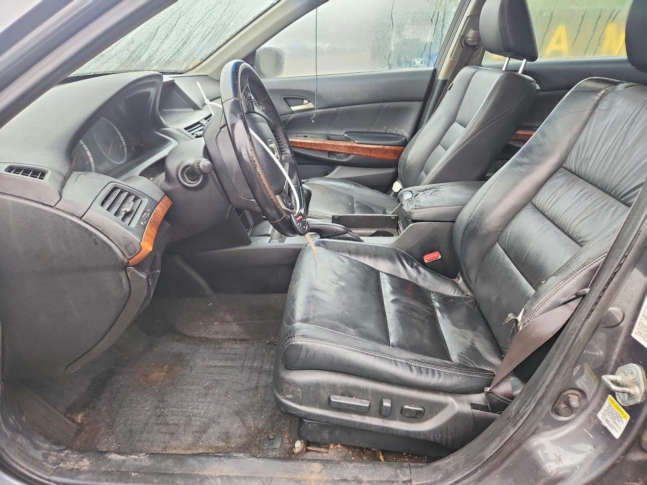2011 Honda Accord Exl Gray vin: 1HGCP2F8XBA076518