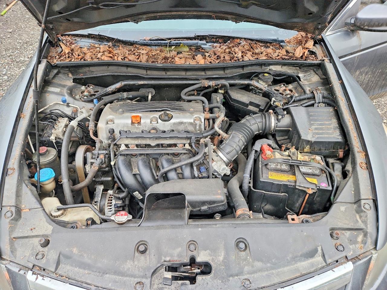 2011 Honda Accord Exl Gray vin: 1HGCP2F8XBA076518