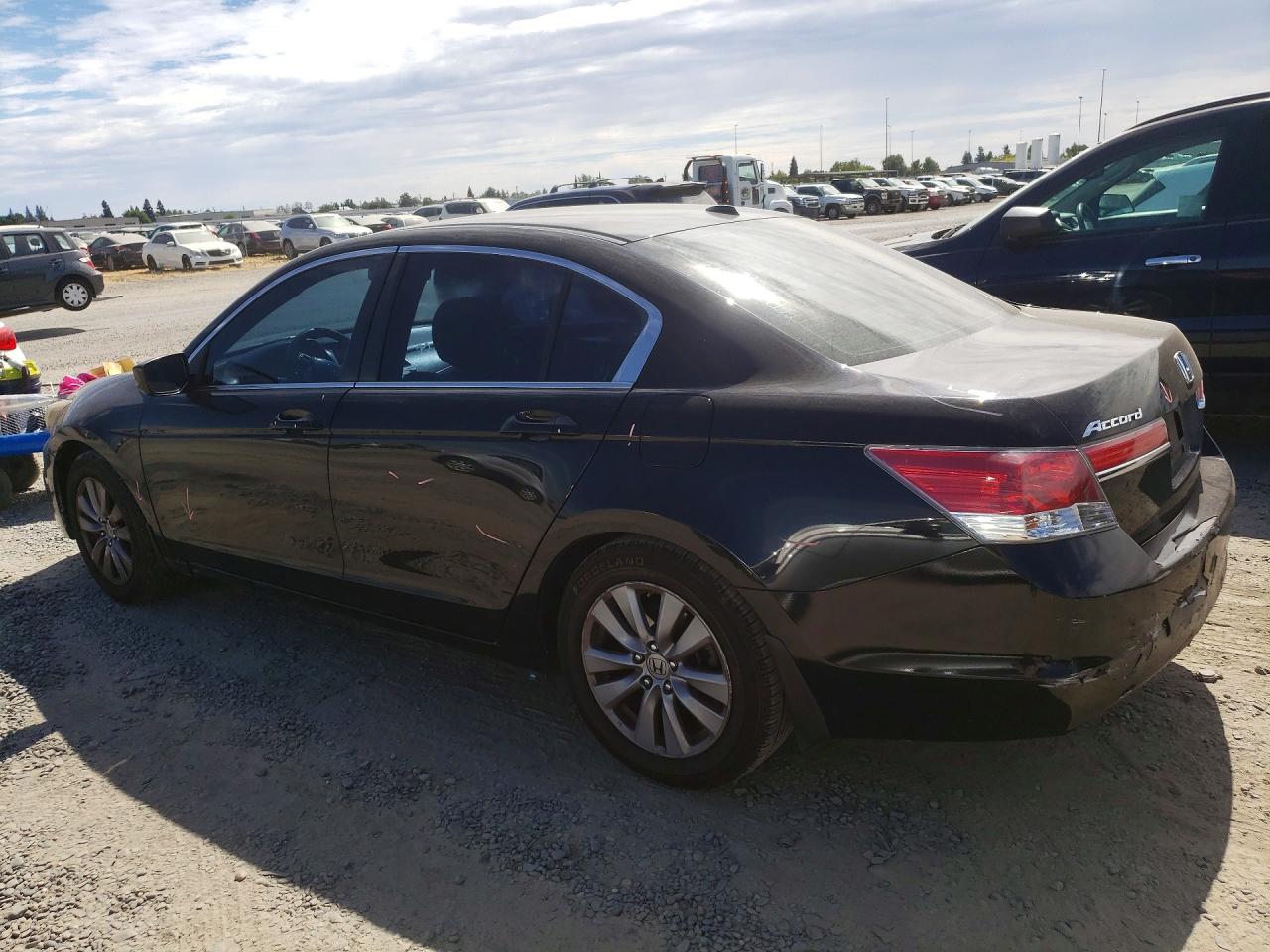 2011 Honda Accord Exl Black vin: 1HGCP2F8XBA096896