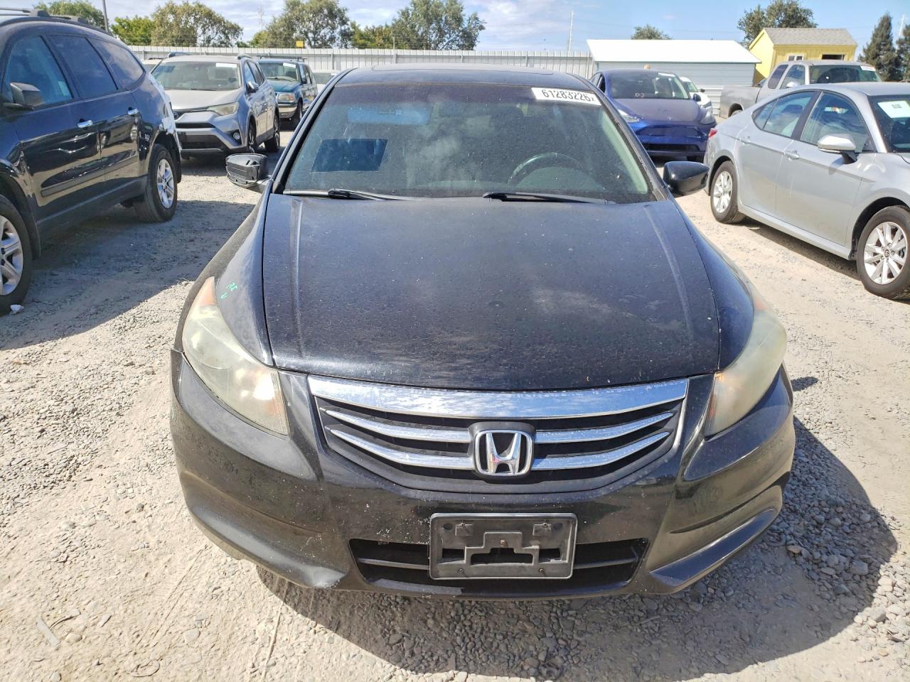 2011 Honda Accord Exl Black vin: 1HGCP2F8XBA096896