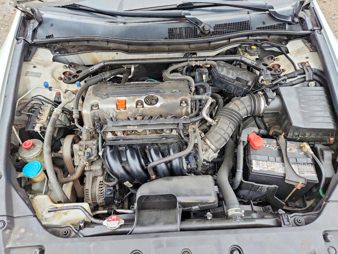 2011 Honda Accord Exl White vin: 1HGCP2F8XBA152870