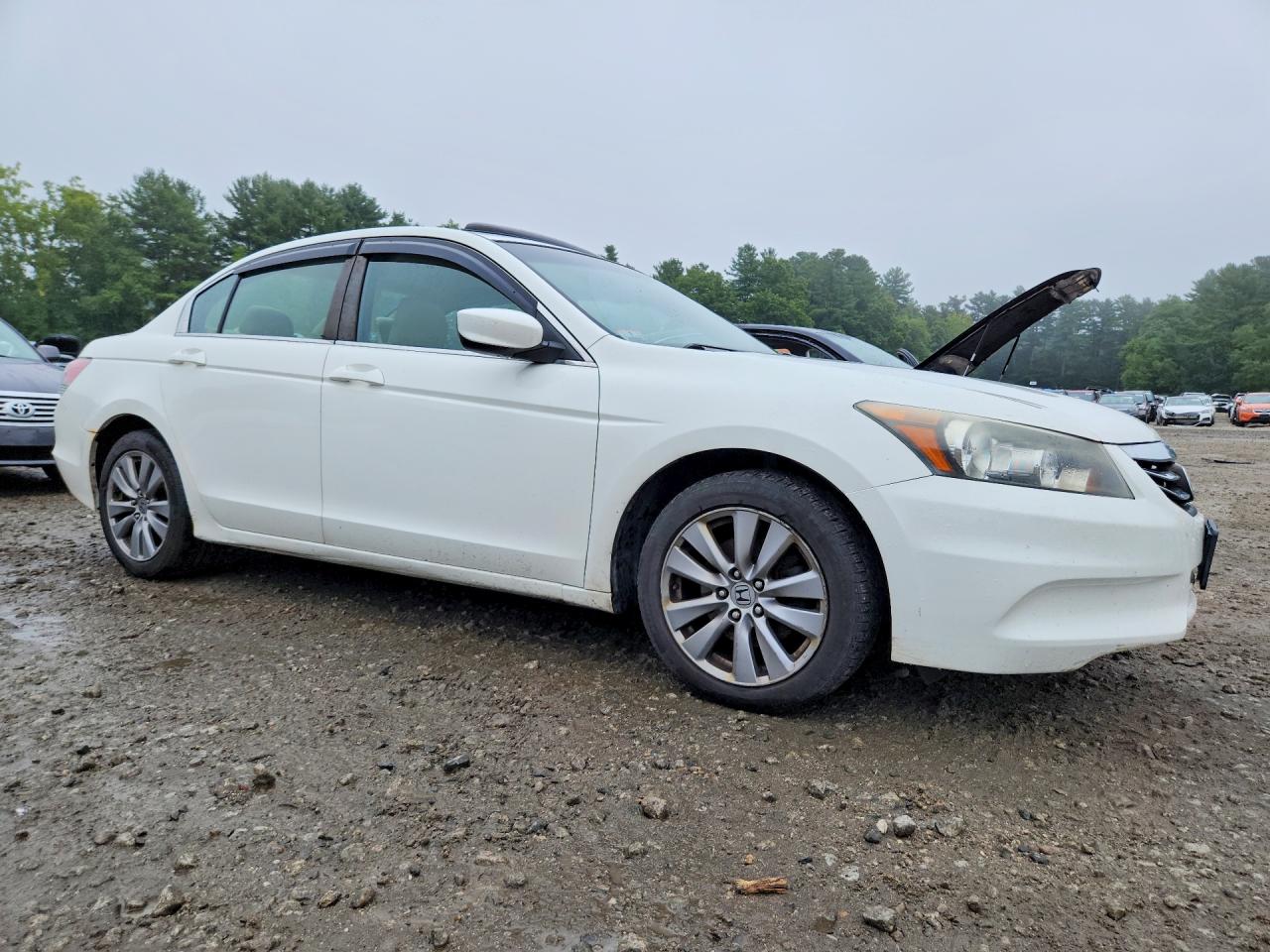 2011 Honda Accord Exl White vin: 1HGCP2F8XBA152870