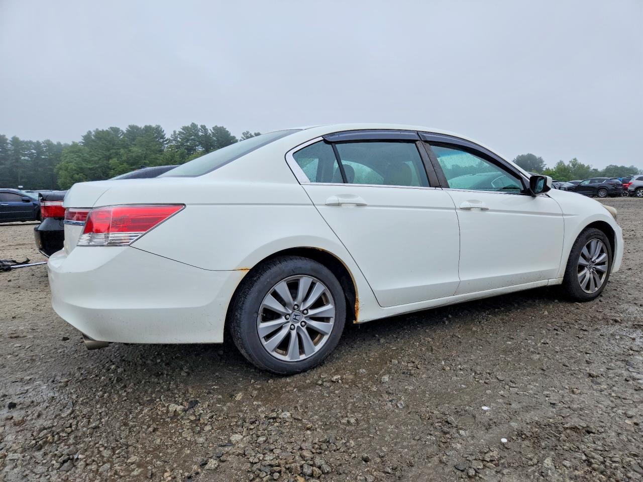 2011 Honda Accord Exl White vin: 1HGCP2F8XBA152870
