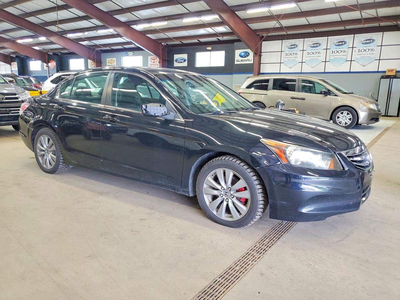 2011 Honda Accord Exl Black vin: 1HGCP2F8XBA154070