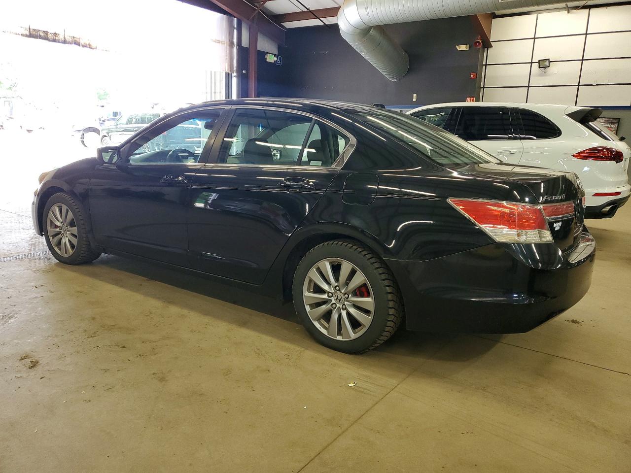 2011 Honda Accord Exl Black vin: 1HGCP2F8XBA154070