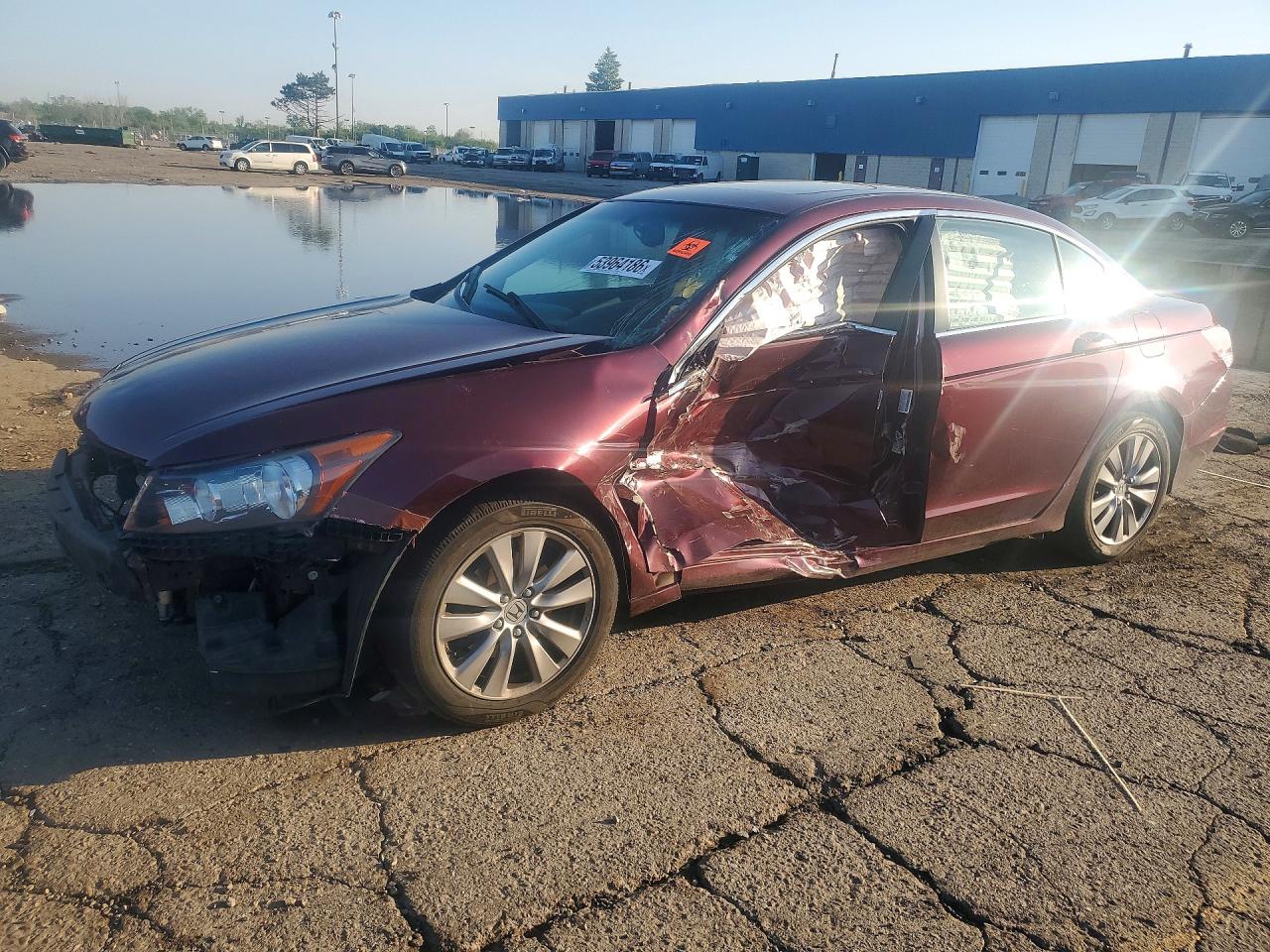 2012 Honda Accord Exl Burgundy vin: 1HGCP2F8XCA100365