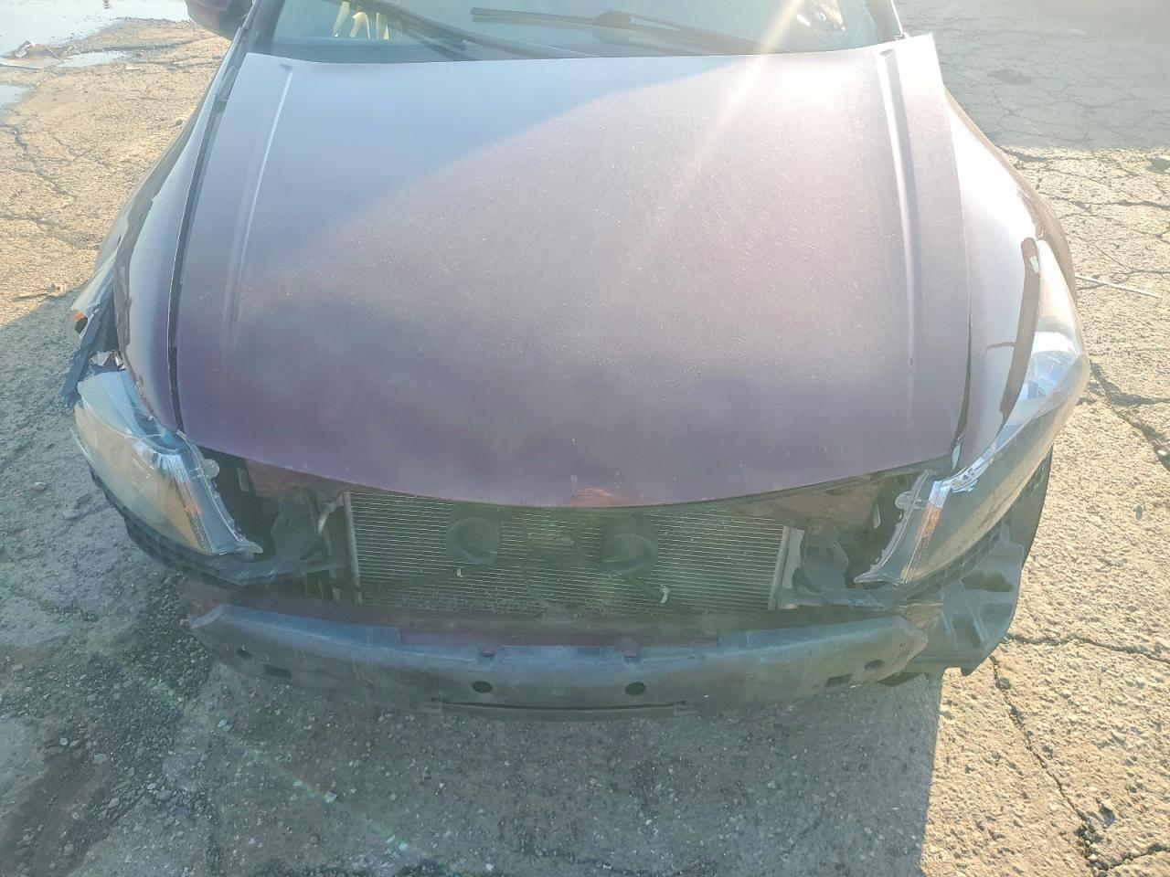2012 Honda Accord Exl Burgundy vin: 1HGCP2F8XCA100365