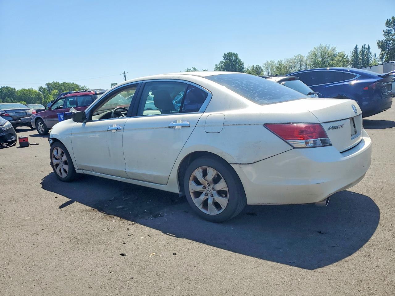 2009 Honda Accord Ex White vin: 1HGCP36709A025018