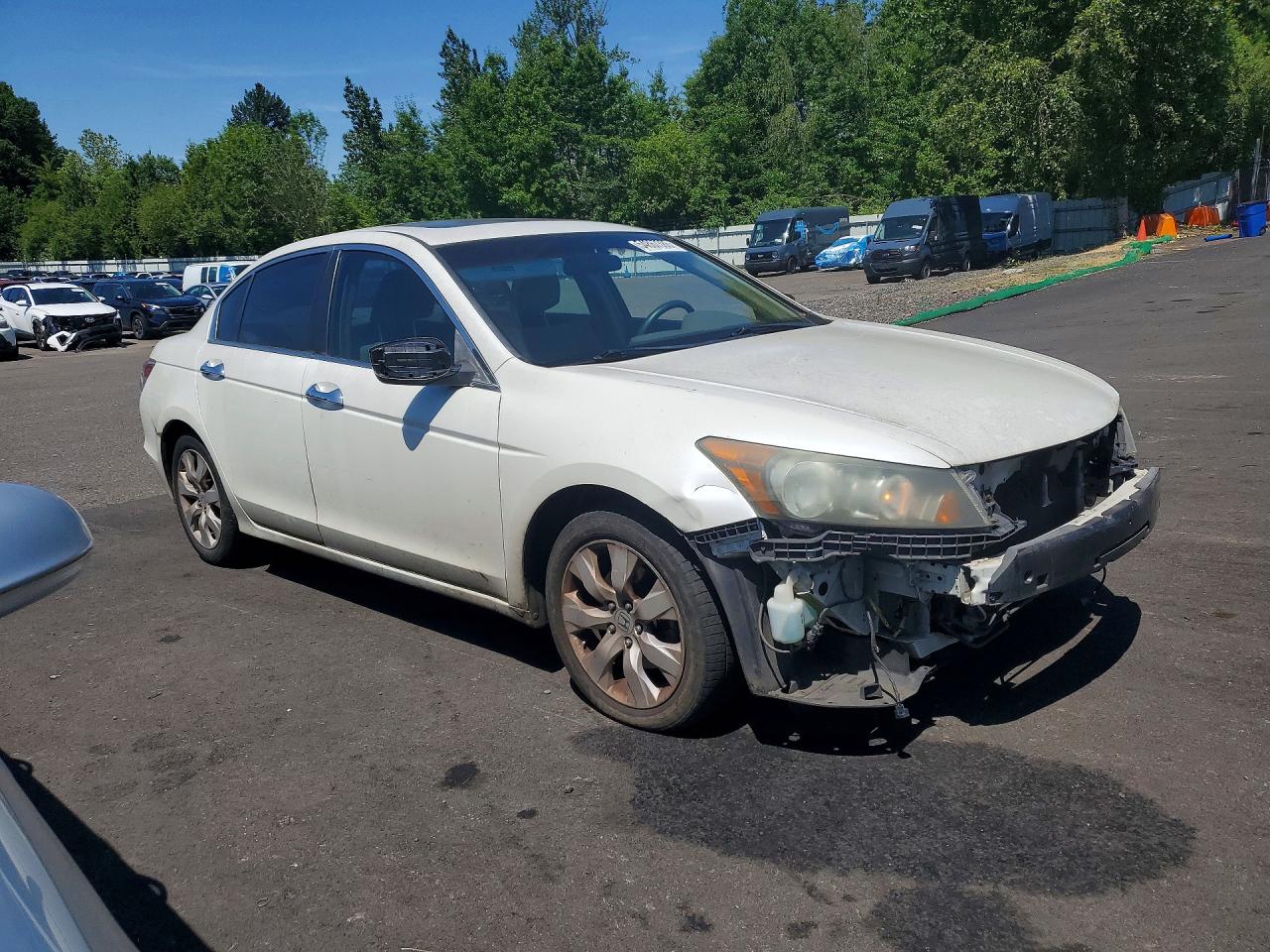 2009 Honda Accord Ex White vin: 1HGCP36709A025018