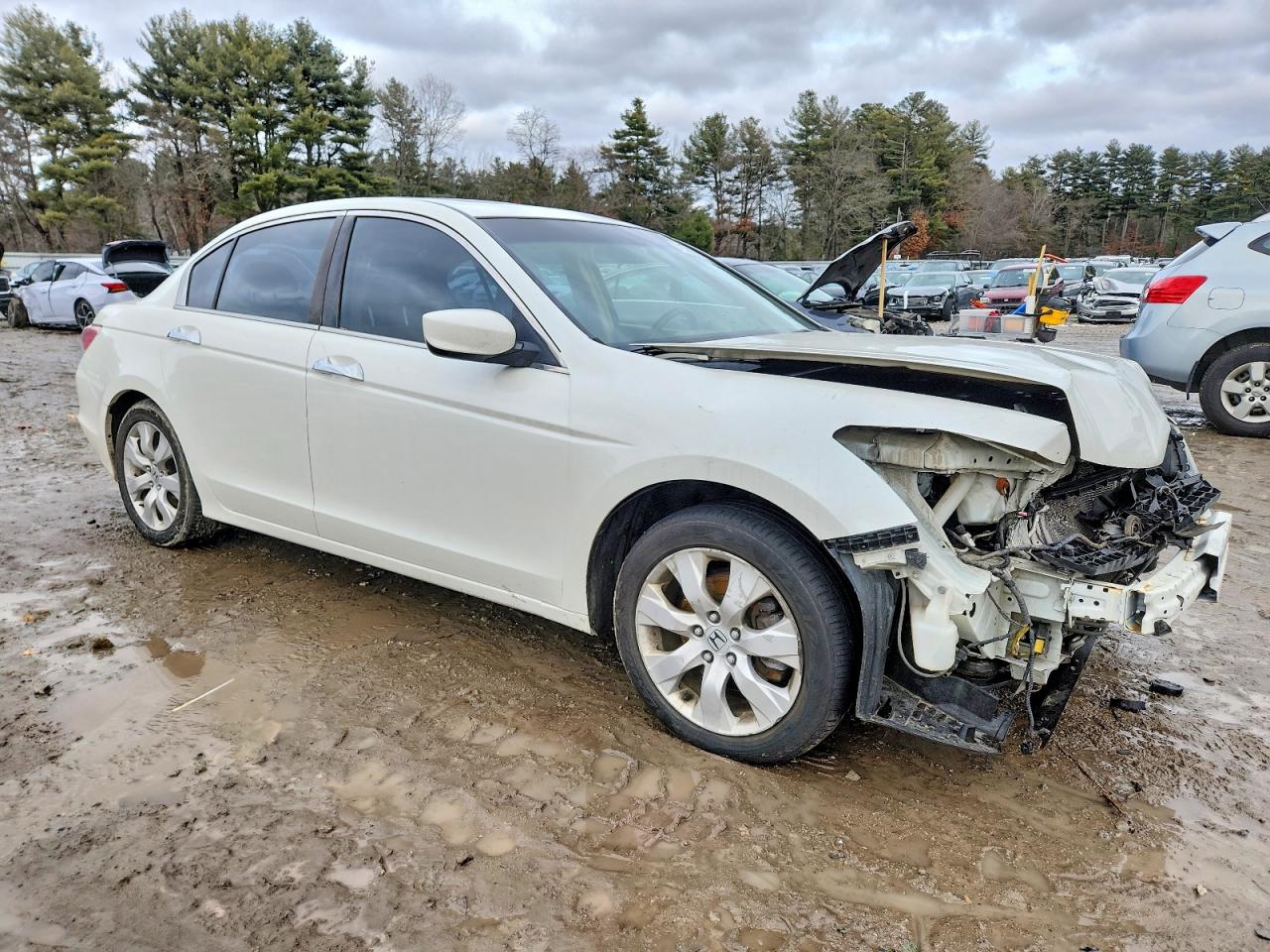 2008 Honda Accord Ex White vin: 1HGCP36788A067919